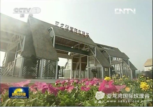 习近平在海南考察